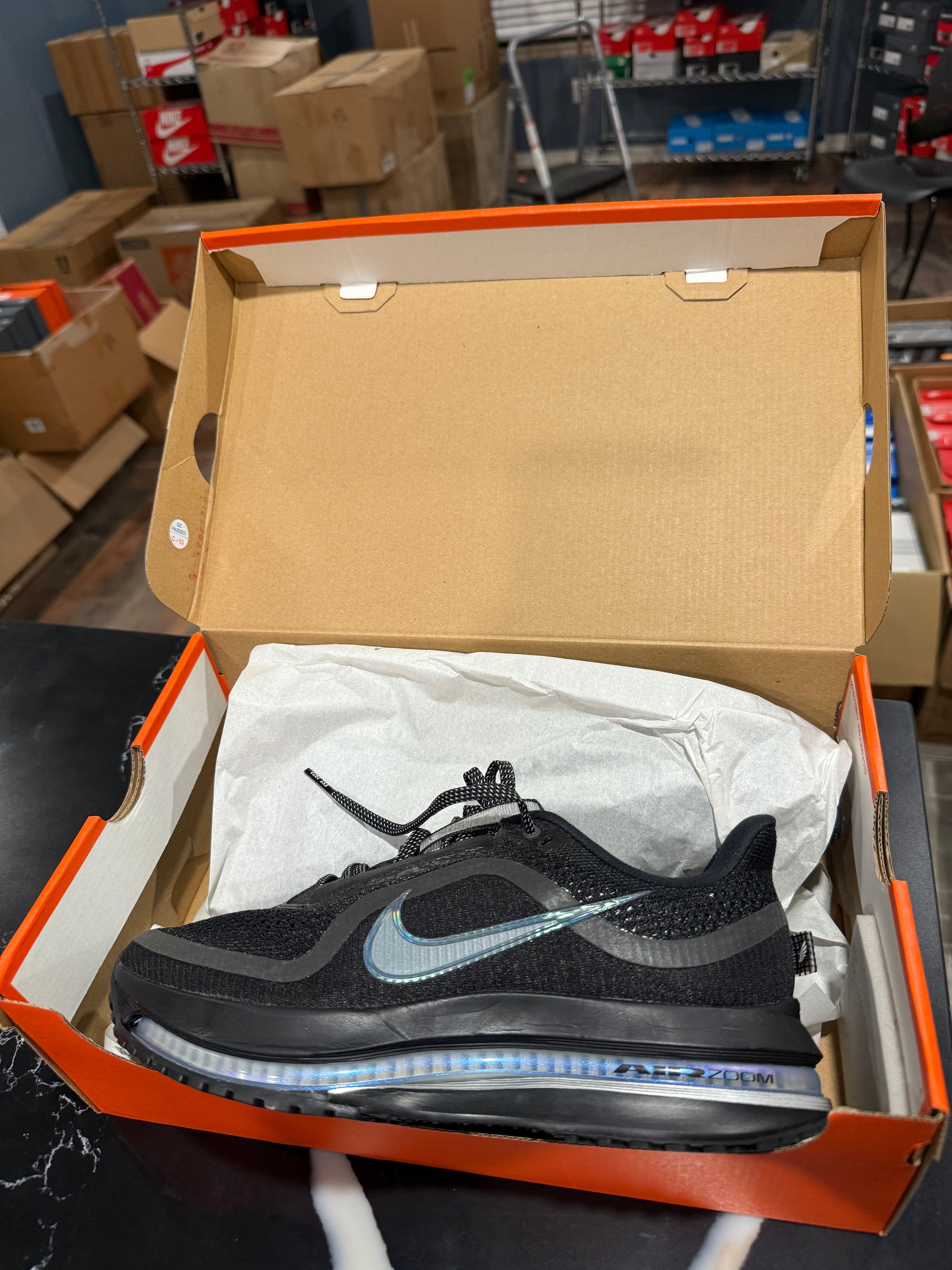 Women’s Nike Pegasus Premium